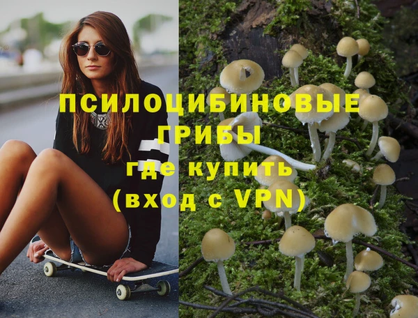 МДПВ Заволжск