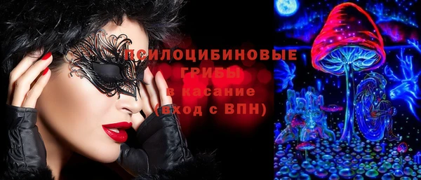 сатива Зеленодольск