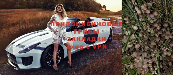 прущая мука Заводоуковск