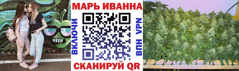Купить где  Нерюнгри  Шишки марихуана гибрид 
